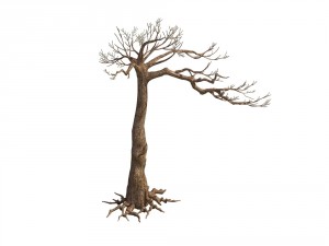 game model - taoist comprehension scene - pine 07 3D Model