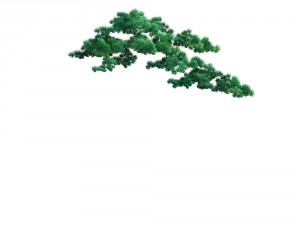 game model - taoist comprehension scene - pine 07 3D Model