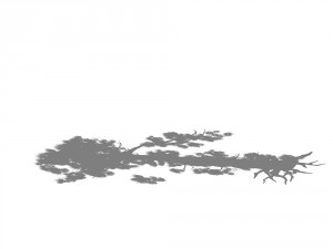 game model - taoist comprehension scene - pine 07 3D Model