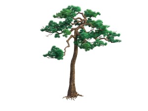 game model - taoist comprehension scene - pine 08 3D Модель
