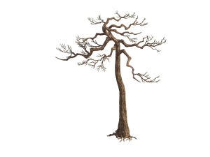 game model - taoist comprehension scene - pine 08 3D Model