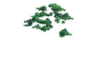 game model - taoist comprehension scene - pine 08 3D Model