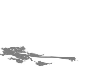 game model - taoist comprehension scene - pine 08 3D Model