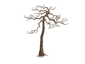 game model - taoist comprehension scene - pine 08 3D Model