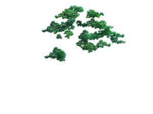 game model - taoist comprehension scene - pine 08 3D Model