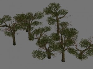 game model arena - variation grass flowers trees 0 3D 모델
