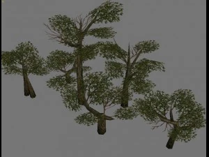 gra modelowa arena - odmiana trawa kwiaty drzewa 0 Model 3D