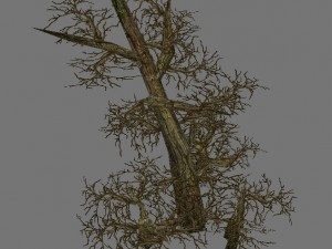game model arena - variation grass flowers trees 0 3D Model
