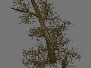 gra modelowa arena - odmiana trawa kwiaty drzewa 0 Model 3D