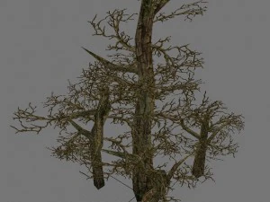 खेल मॉडल क्षेत्र - विविधता घास फूल पेड़ 0 3D मॉडल