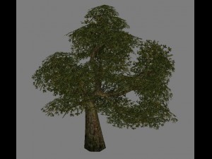 model arena game jungle area - tree 01 Modèle 3D