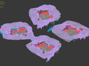 마법의 영토 - 손상된 표면 3D 모델