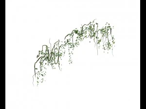 shushan - arch bridge 3D Model