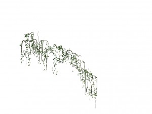 shushan - arch bridge 3Dモデル