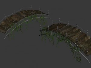 shushan - arch bridge 3D Model