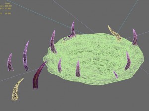 wild - wormhole 3D Model