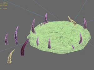 wild - wormhole 3D Model