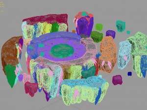 field - stone altar Modèle 3D