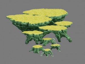 jade root carving 3D Model
