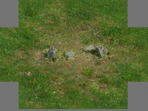 grassland - boundary 3D Model