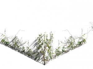 city gate - wall - vineyard 3D Model