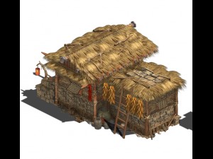 folk building - thatched cottage Model 3D