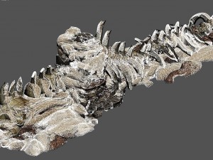 desert - boss altar fossil bones 03 3D Modell