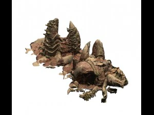 desert - boss altar fossil bones 04 3D Model