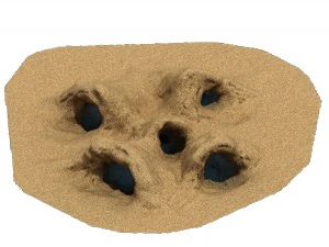 desert - monster nest 4 3D Model