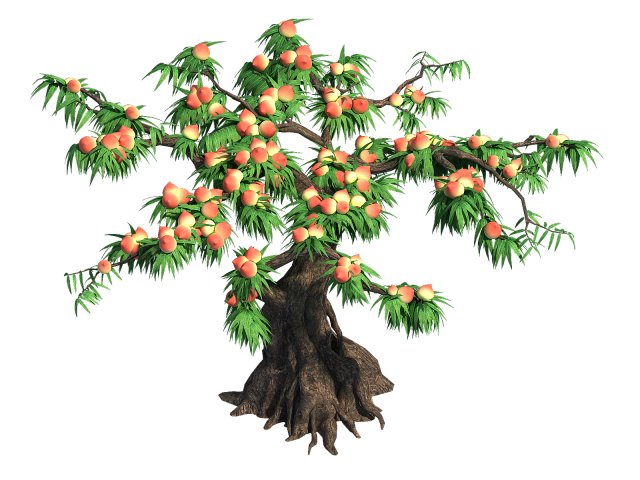 plant - peach tree 032 3D Model .c4d .max .obj .3ds .fbx .stl .blend 