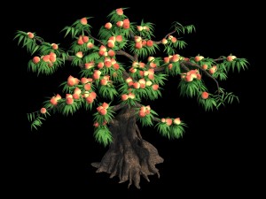 plant - peach tree 032 3D Model