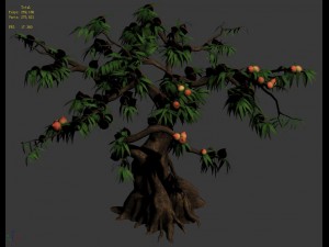 plant - peach tree 032 3D Model