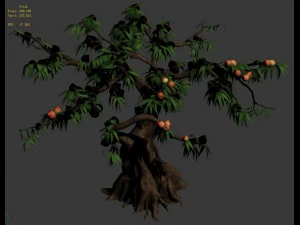 plant - peach tree 032 3D Model