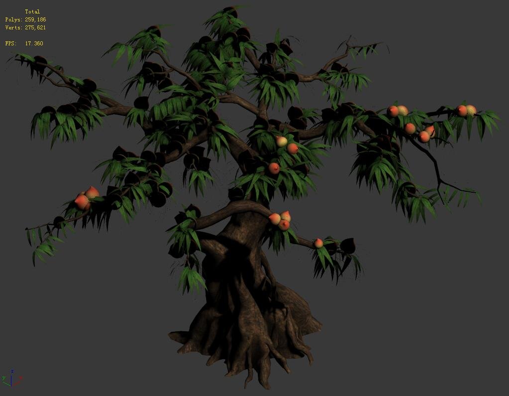plant peach tree 032 Modelli 3D in Decoration 3DExport