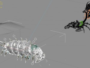 underground city - poisonous insects 3D Model
