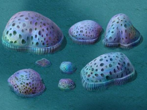 submarine cartoon world - cellular coral 3D Model