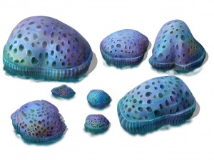 submarine cartoon world - cellular coral 3D Model