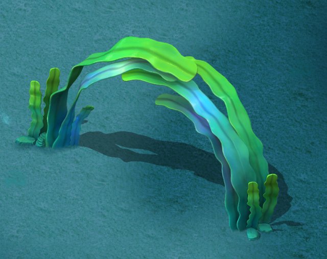 seaside cartoon world - seaweed arches 3D Model .c4d .max .obj .3ds .fbx .stl .blend
