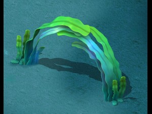 seaside cartoon world - seaweed arches Modello 3D
