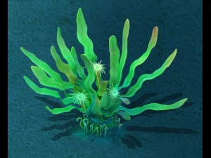 submarine cartoon world - lonely yu seaweed 3D Model