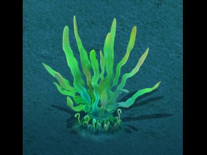 submarine cartoon world - lonely yu seaweed 3D 模型