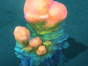 mundo dos desenhos animados submarinos - sarcoma coral 01 Modelo 3D