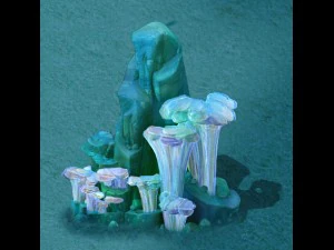 onderzeese tekenfilmwereld - koraalsteen 03 3D Model