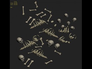 cartoon version - bones 3D Model