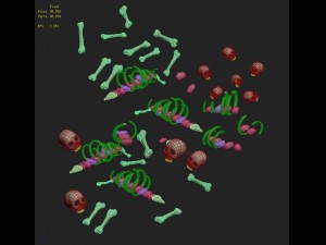 cartoon version - bones 3D Model