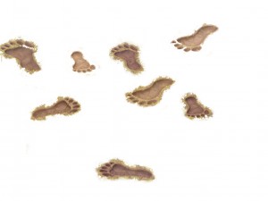 cartoon version - footprints Modello 3D
