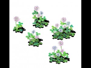 cartoon version - clover Modello 3D