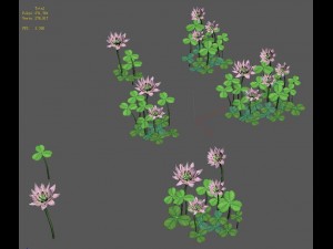 cartoon version - clover Modello 3D