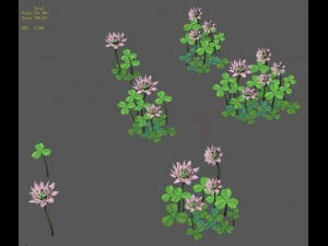 cartoon version - clover 3D Model