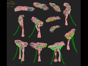 cartoon hell - wail abyss - outer ring Modelo 3D